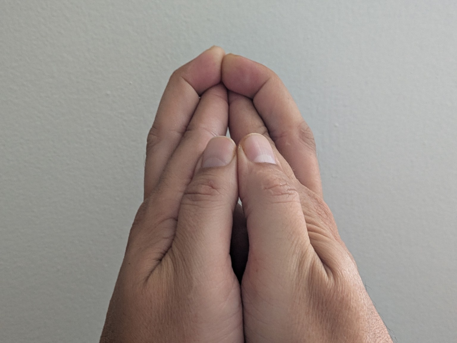 Illustrated hand positions for the Pyō seal