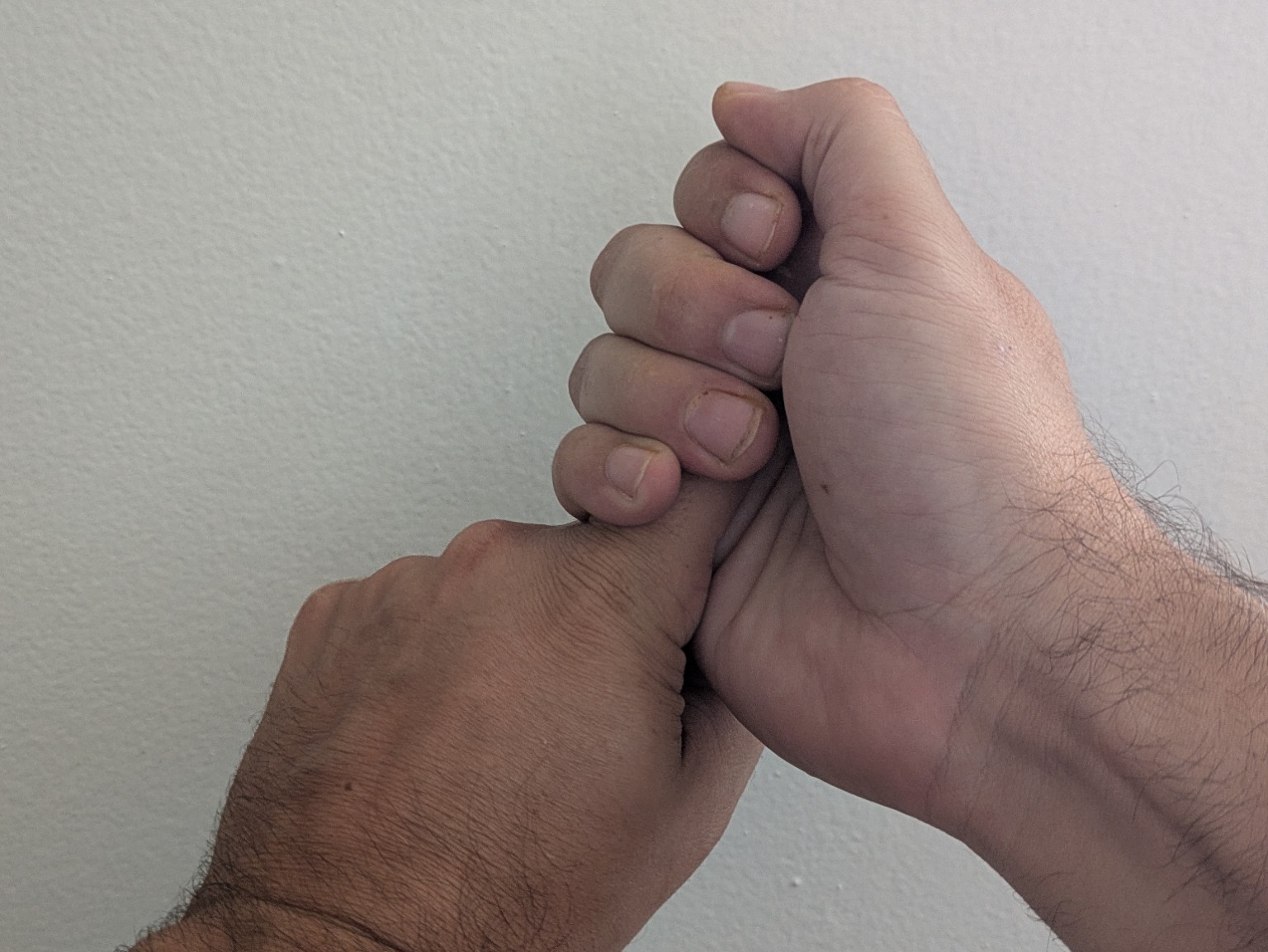 Illustrated hand positions for the Retsu seal