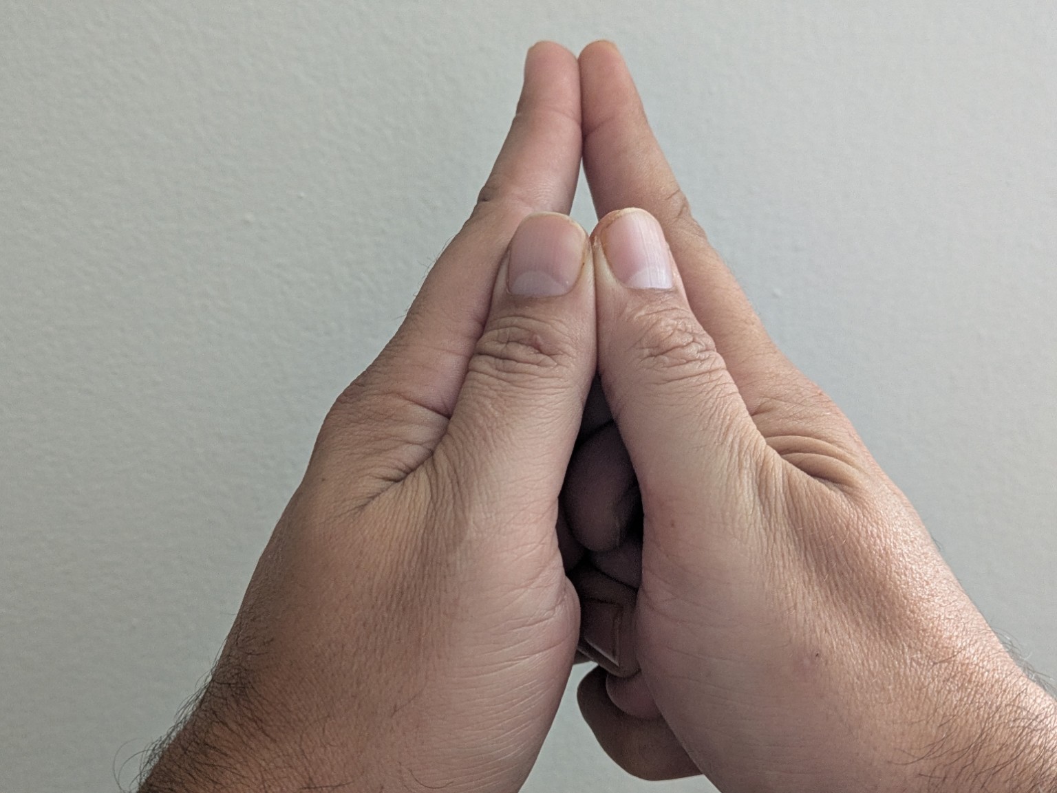 Illustrated hand positions for the Rin seal