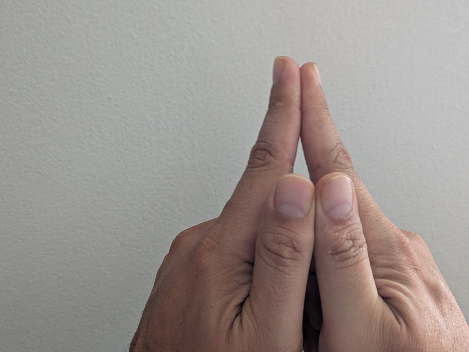 Illustrated hand positions for the Sha seal