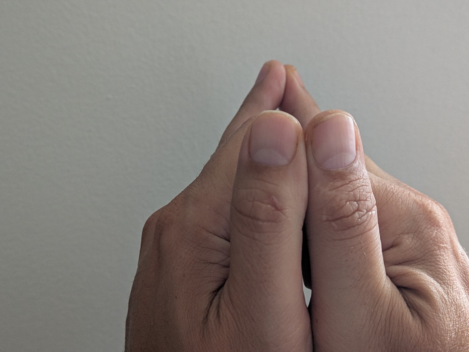 Illustrated hand positions for the Tō seal