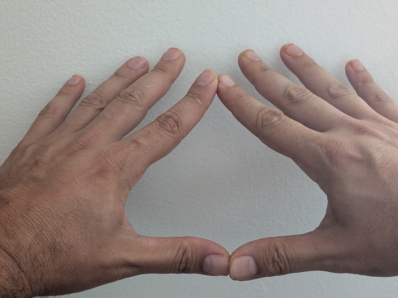 Illustrated hand positions for the Zai seal