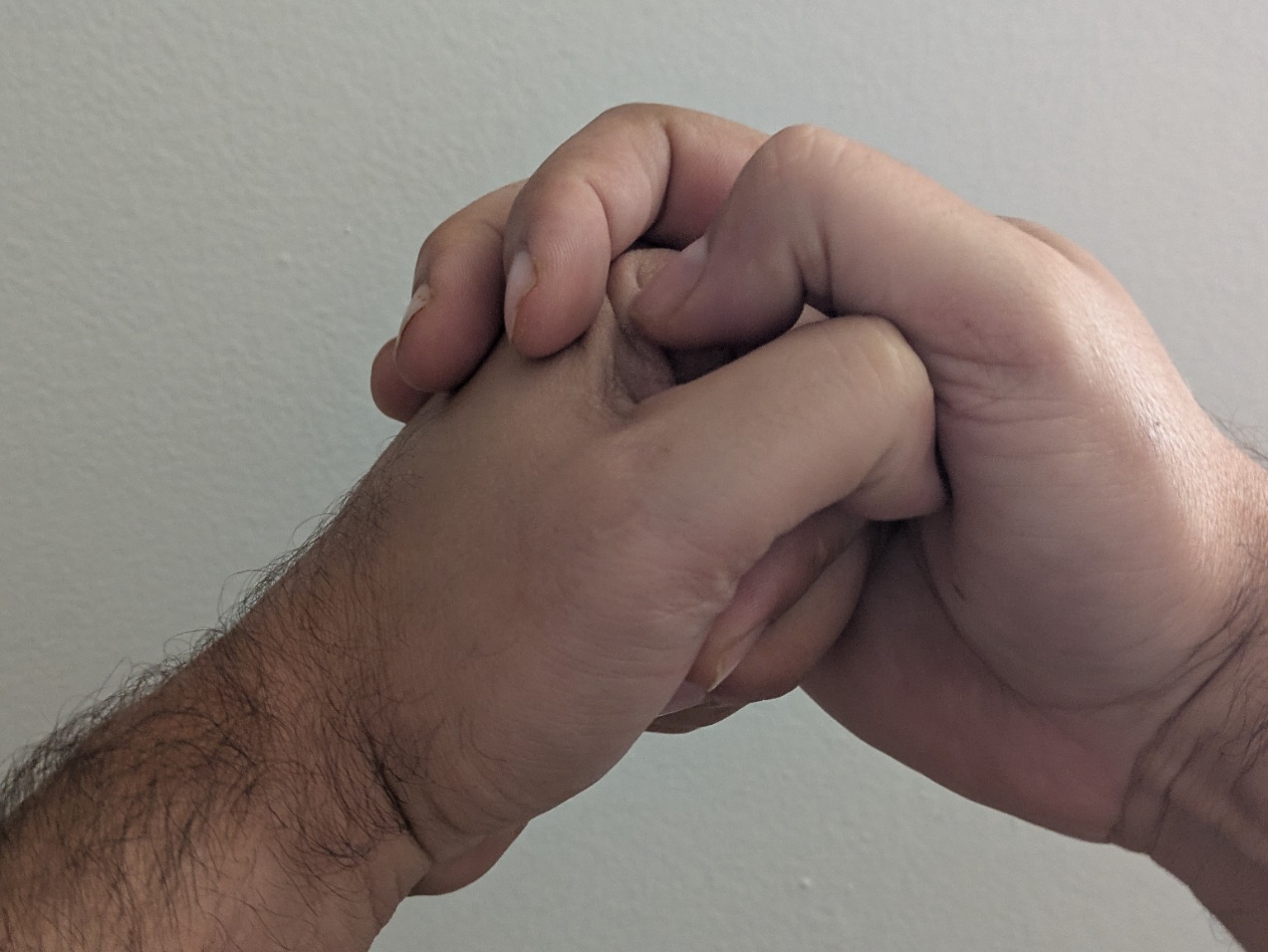 Illustrated hand positions for the Zen seal